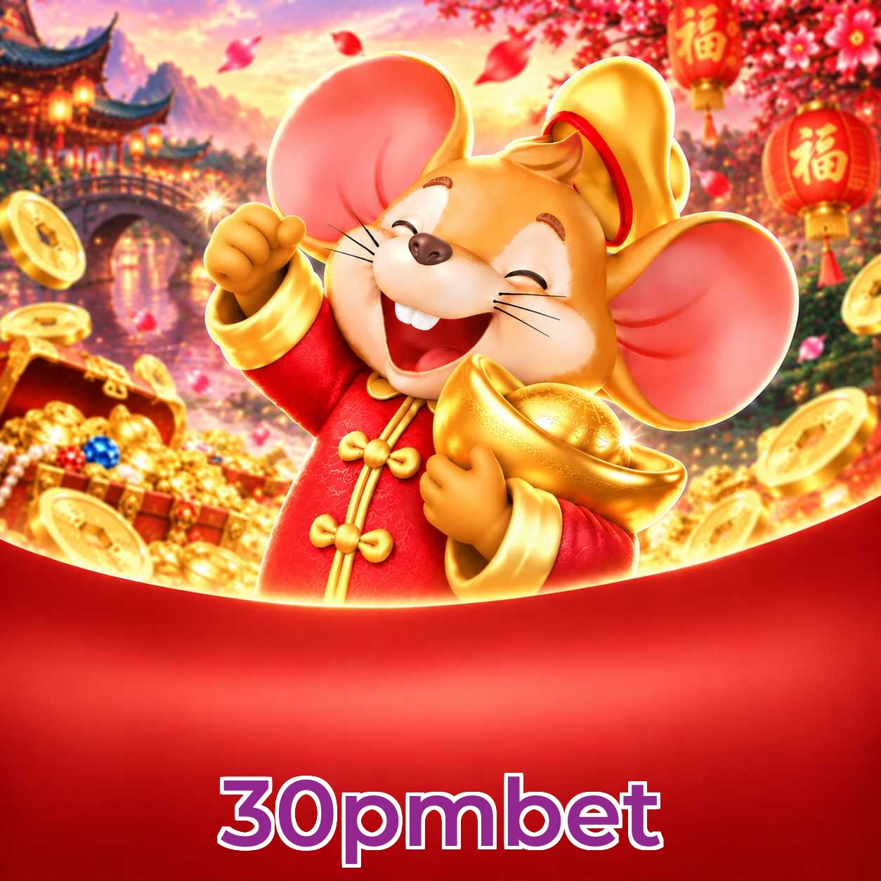 30pmbet Security
